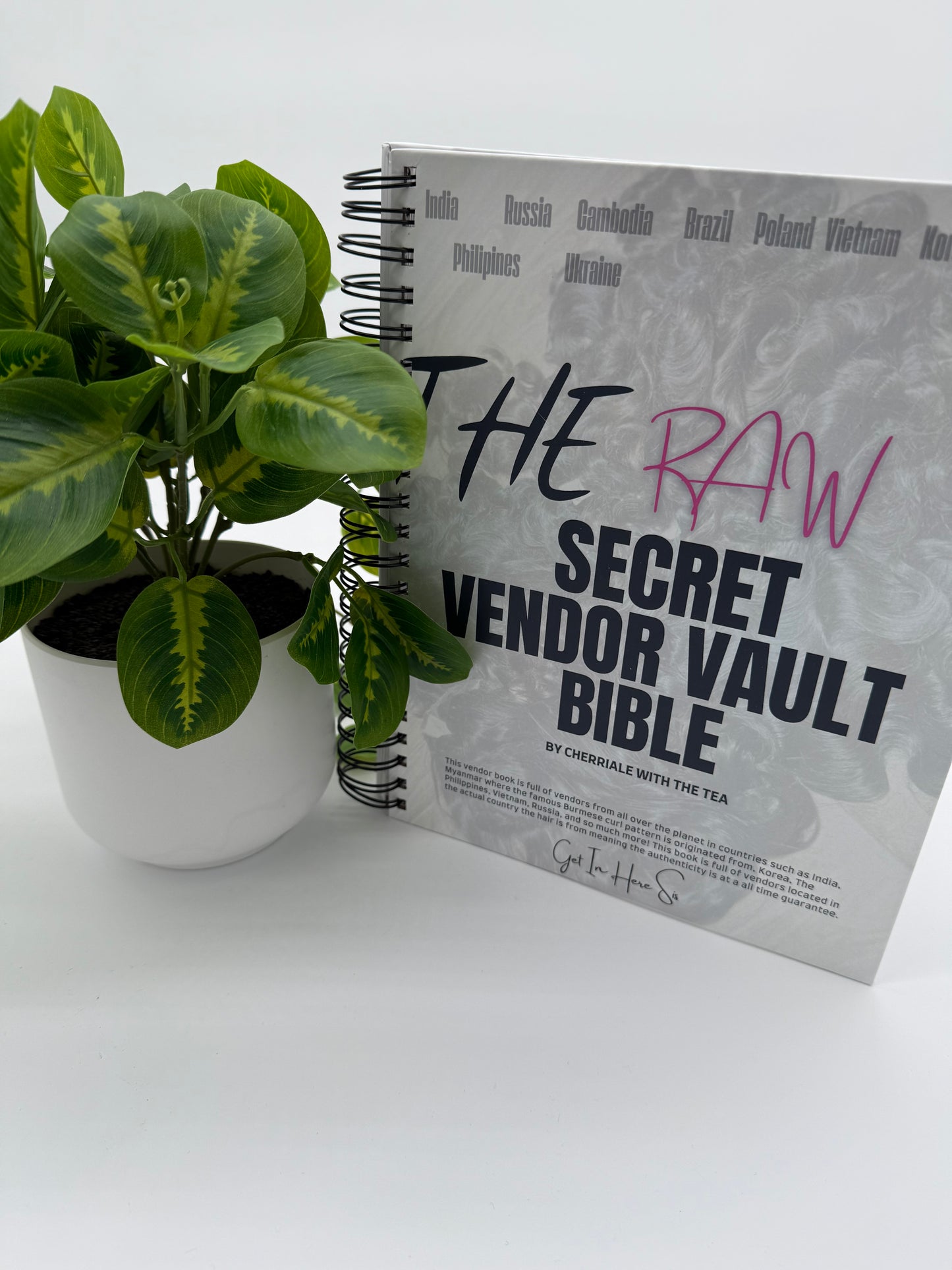The Raw Secret Vendor Vault Bible E Book addition