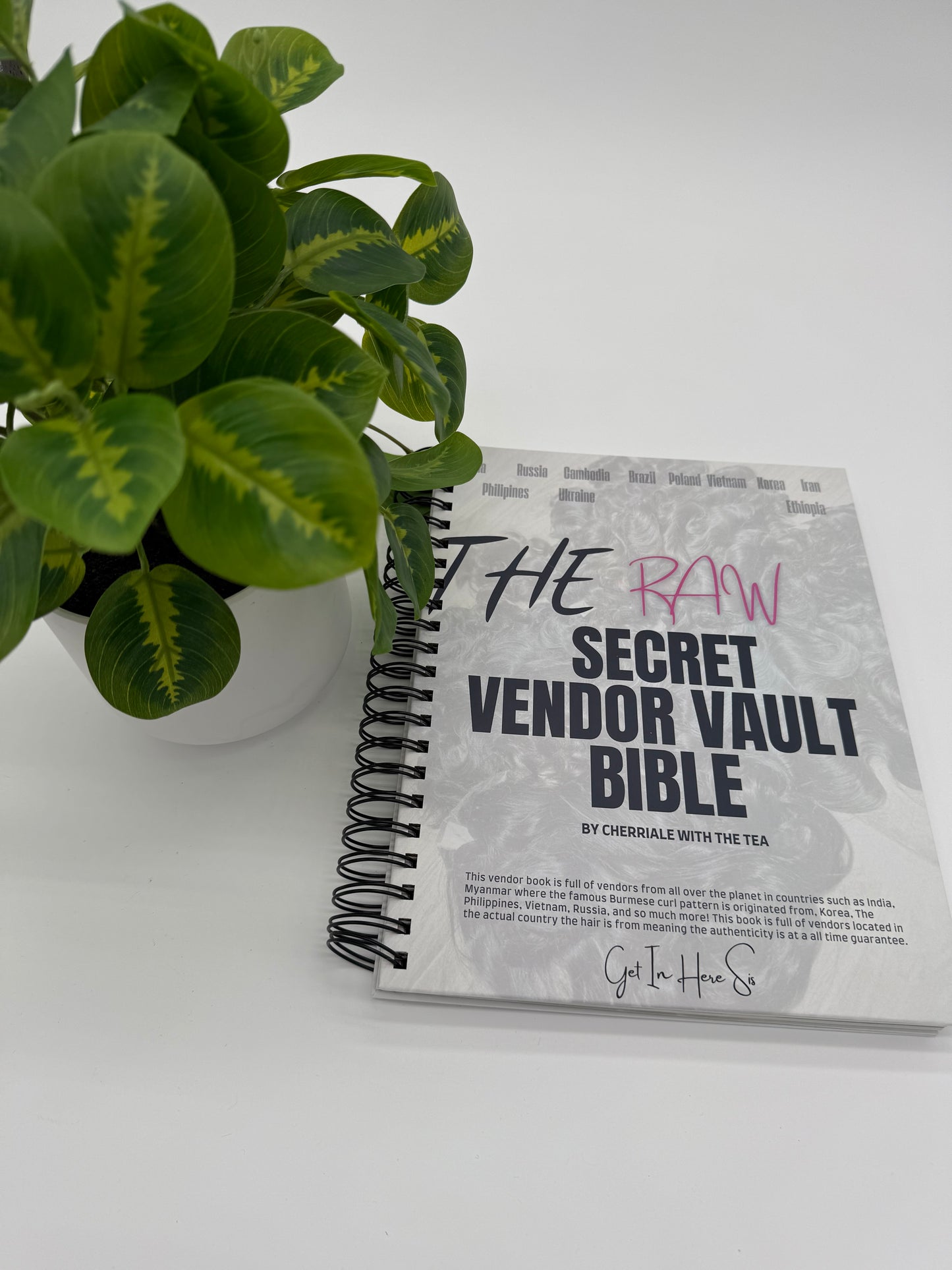 The Raw Secret Vendor Vault Bible HARD COPY (physical copy)